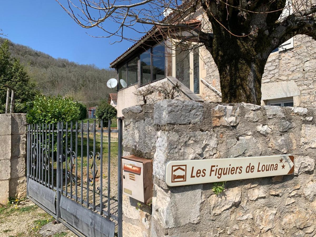 Les Figuiers De Louna - Pierre Ensoleillee - 110 M2 Et Une Veranda Saint-Gery  Exterior photo