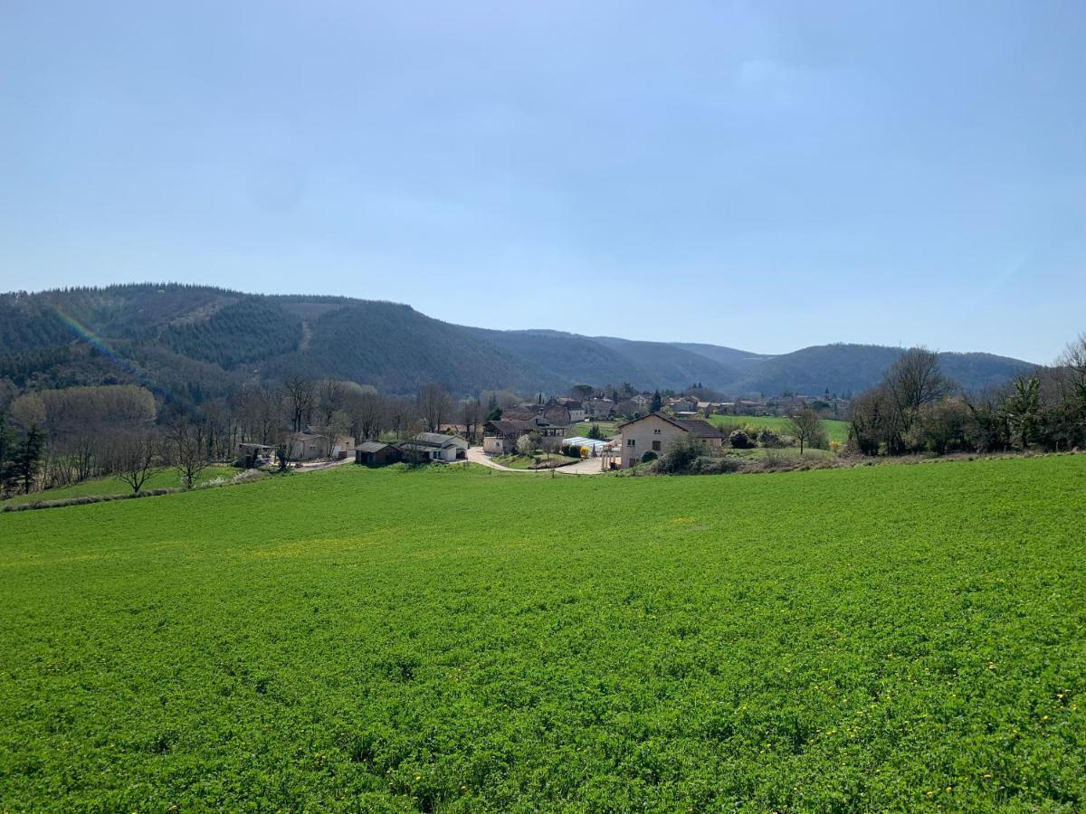 Les Figuiers De Louna - Pierre Ensoleillee - 110 M2 Et Une Veranda Saint-Gery  Exterior photo